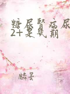 糖尿肾病尿蛋白2+是几期