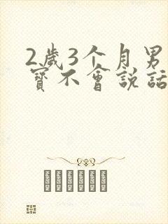 2岁3个月男宝宝不会说话怎么办