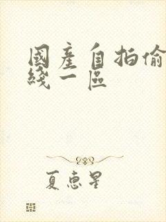 国产自拍偷拍在线一区