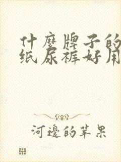 什么牌子的成人纸尿裤好用又透气实惠