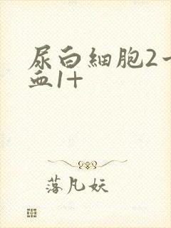 尿白细胞2十隐血1+