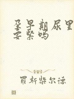 孕早期尿里有血要紧吗