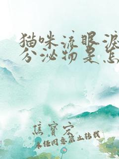 猫咪流眼泪褐色分泌物是怎么回事