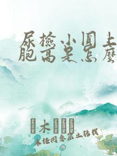 尿检小圆上皮细胞高是怎么回事