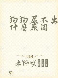 狗狗尿不出尿是什么原因