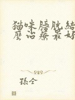 猫咪膀胱结石怎么治疗最好的方法