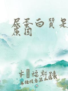 尿蛋白质是什么原因