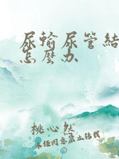 尿输尿管结石要怎么办