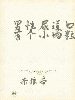 男性尿道口边上有个小肉粒