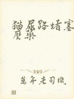 猫尿路堵塞吃什么药