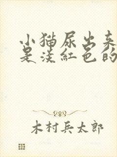 小猫尿出来的尿是淡红色的