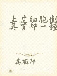 上皮细胞侧面不具有哪一种细胞连接