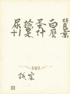 尿检蛋白质阳性+1是什么意思