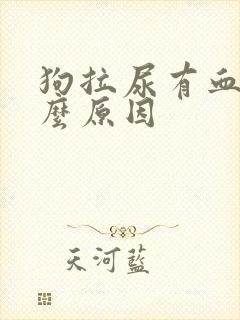 狗拉尿有血是什么原因