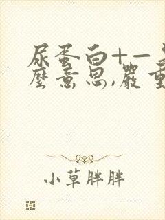 尿蛋白+—是什么意思,严重吗