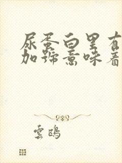 尿蛋白里有4个加号意味着什么