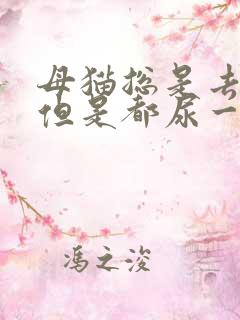 母猫总是去厕所但是都尿一点