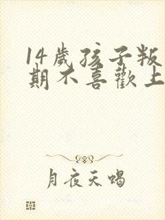 14岁孩子叛逆期不喜欢上学怎么办