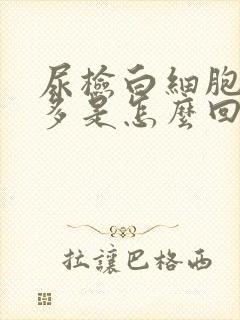 尿检白细胞高很多是怎么回事