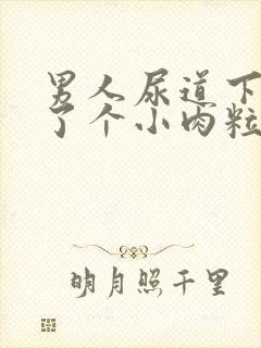 男人尿道下面起了个小肉粒