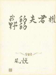 我的夫君权倾朝野的