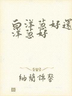 白洋葱好还是红洋葱好