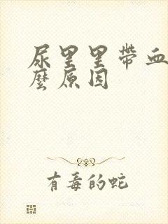 尿里里带血是什么原因