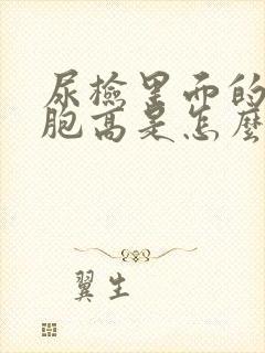 尿检里面的白细胞高是怎么回事