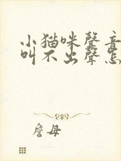 小猫咪声音沙哑叫不出声怎么回事儿