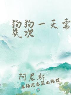 狗狗一天需要尿几次