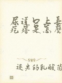 尿道口上长了小疙瘩是怎么回事