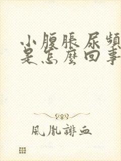 小腹胀尿频腰酸是怎么回事女性