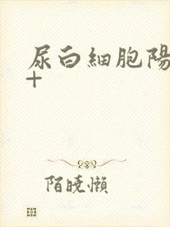 尿白细胞阳性2+