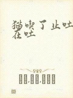 猫吃了止吐药还在吐