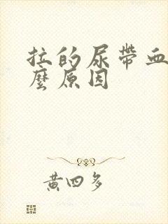 拉的尿带血是什么原因