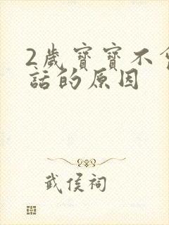 2岁宝宝不会说话的原因