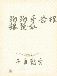 狗狗牙齿根部牙龈发红