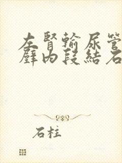 左肾输尿管膀胱壁内段结石