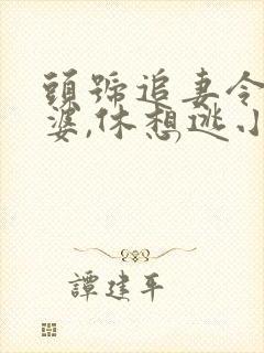 头号追妻令:老婆,休想逃小说