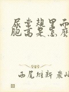 尿常规里面红细胞高是怎么回事