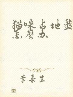 猫咪占地盘乱尿怎么办