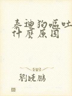 泰迪狗呕吐有血什么原因