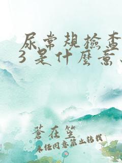 尿常规检查隐血3 是什么意思