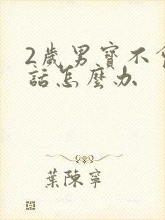 2岁男宝不会说话怎么办