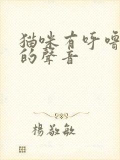 猫咪有呼噜呼噜的声音