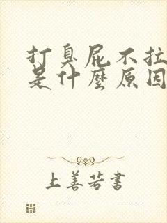 打臭屁不拉大便是什么原因