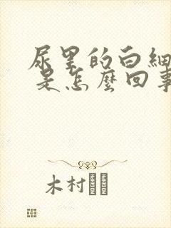 尿里的白细胞3 是怎么回事