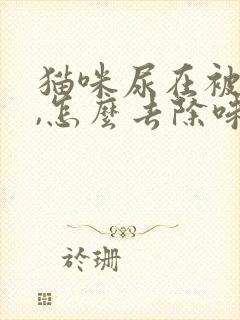 猫咪尿在被子上,怎么去除味道