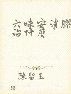 六味安消胶囊主治什么