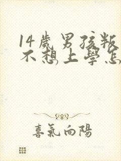 14岁男孩叛逆不想上学怎么办